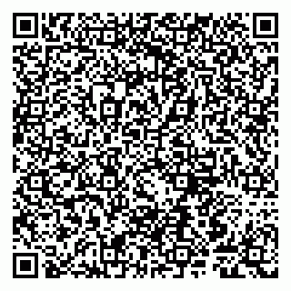 vCard 79807240331