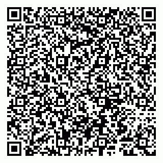 vCard 79807240337