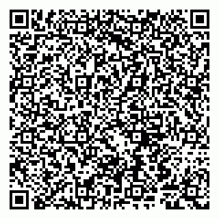 vCard 79807240353
