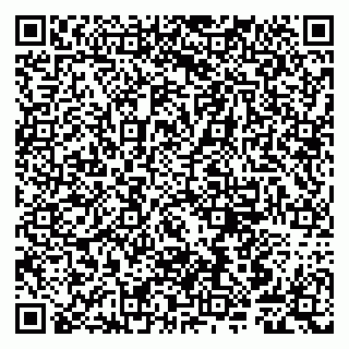 vCard 79807240373