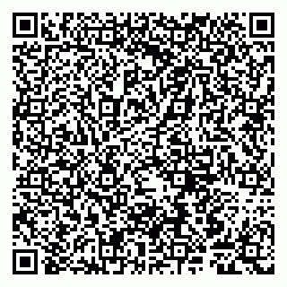 vCard 79807240374