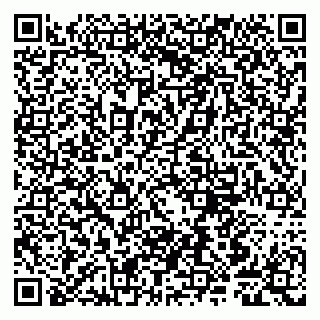 vCard 79807240379