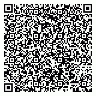 vCard 79807240381
