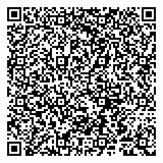 vCard 79807240384