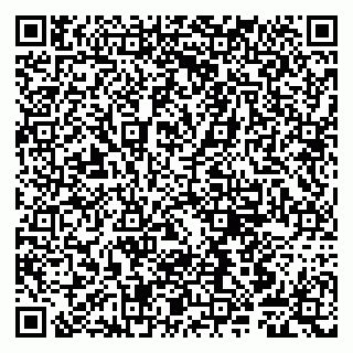 vCard 79807240385