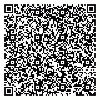 vCard 79807240413