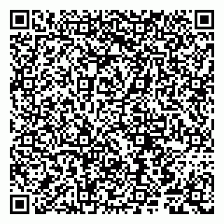 vCard 79807240480