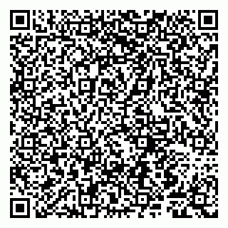 vCard 79807240529