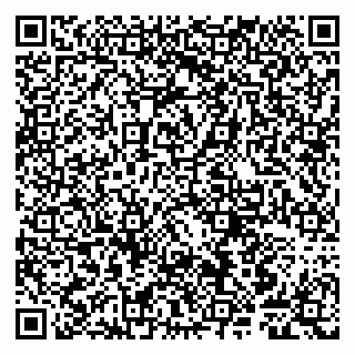 vCard 79807240627
