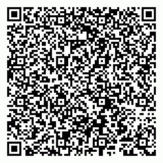vCard 79807240874
