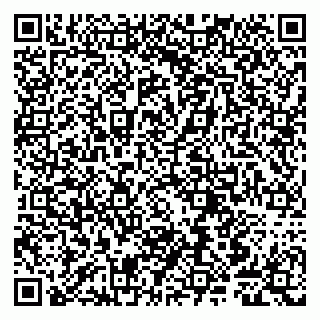 vCard 79807240879