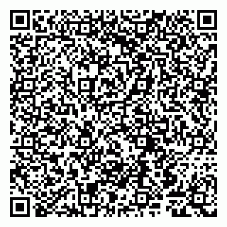 vCard 79807240880