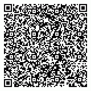 vCard 79807240882