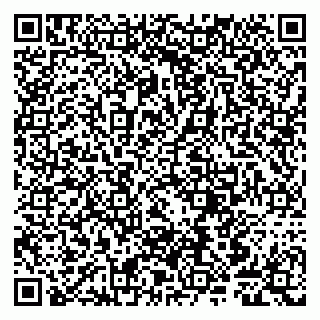 vCard 79807240903