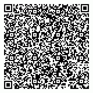 vCard 79807240915
