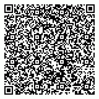 vCard 79807241007