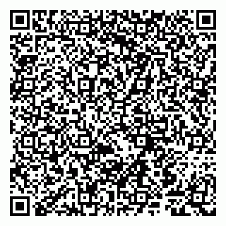 vCard 79807241011