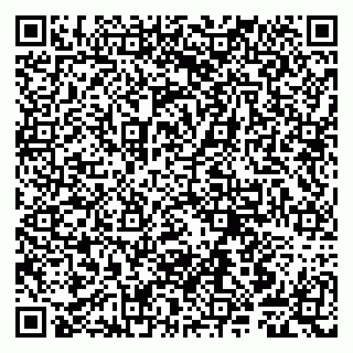 vCard 79807241032