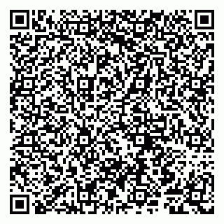 vCard 79807241037