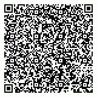 vCard 79807241054