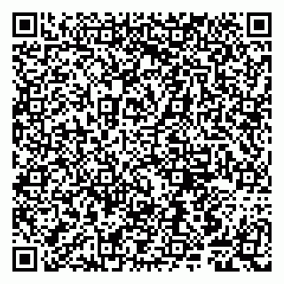 vCard 79807241313