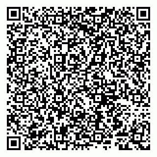 vCard 79807241321