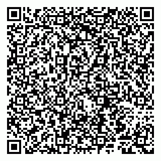 vCard 79807241533
