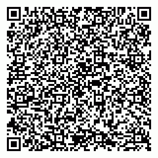 vCard 79807241724