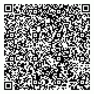 vCard 79807241729