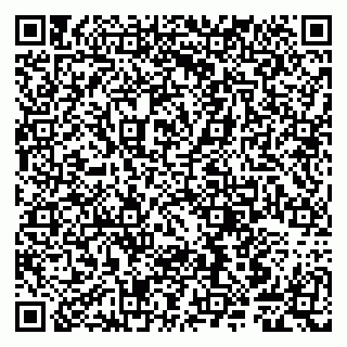 vCard 79807241975