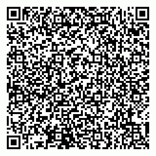 vCard 79807243004