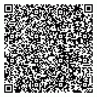 vCard 79807243713