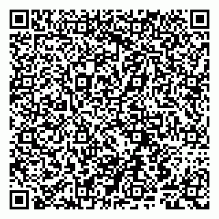 vCard 79807243809