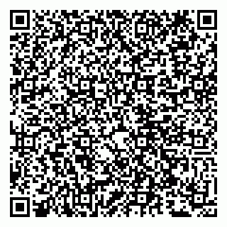 vCard 79807243880
