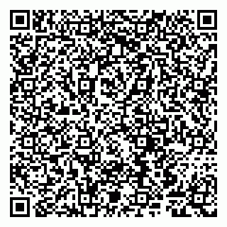 vCard 79807243987