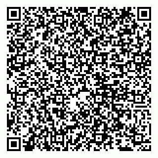 vCard 79807244288