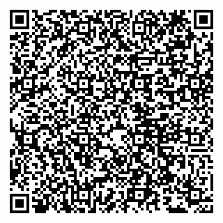 vCard 79807244381