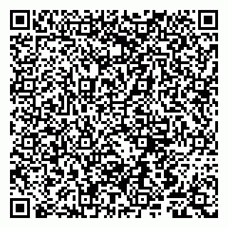 vCard 79807244387