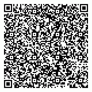 vCard 79807245026