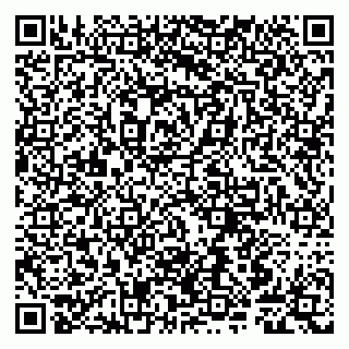 vCard 79807245031