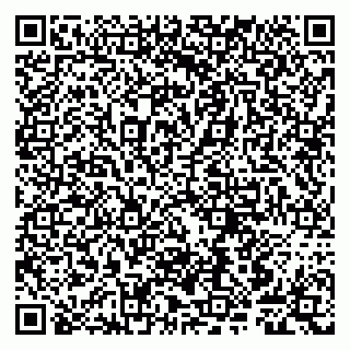 vCard 79807245040