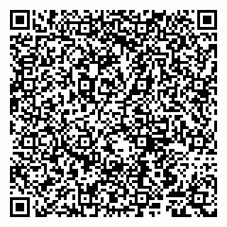 vCard 79807245311