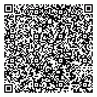 vCard 79807245385