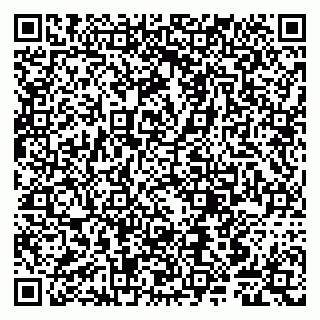 vCard 79807245998