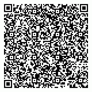 vCard 79807247711