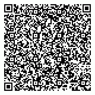 vCard 79807247903