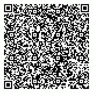 vCard 79807248131