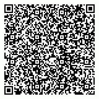 vCard 79807248209