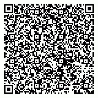 vCard 79807248379