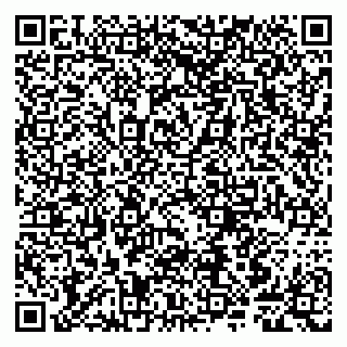 vCard 79807248653